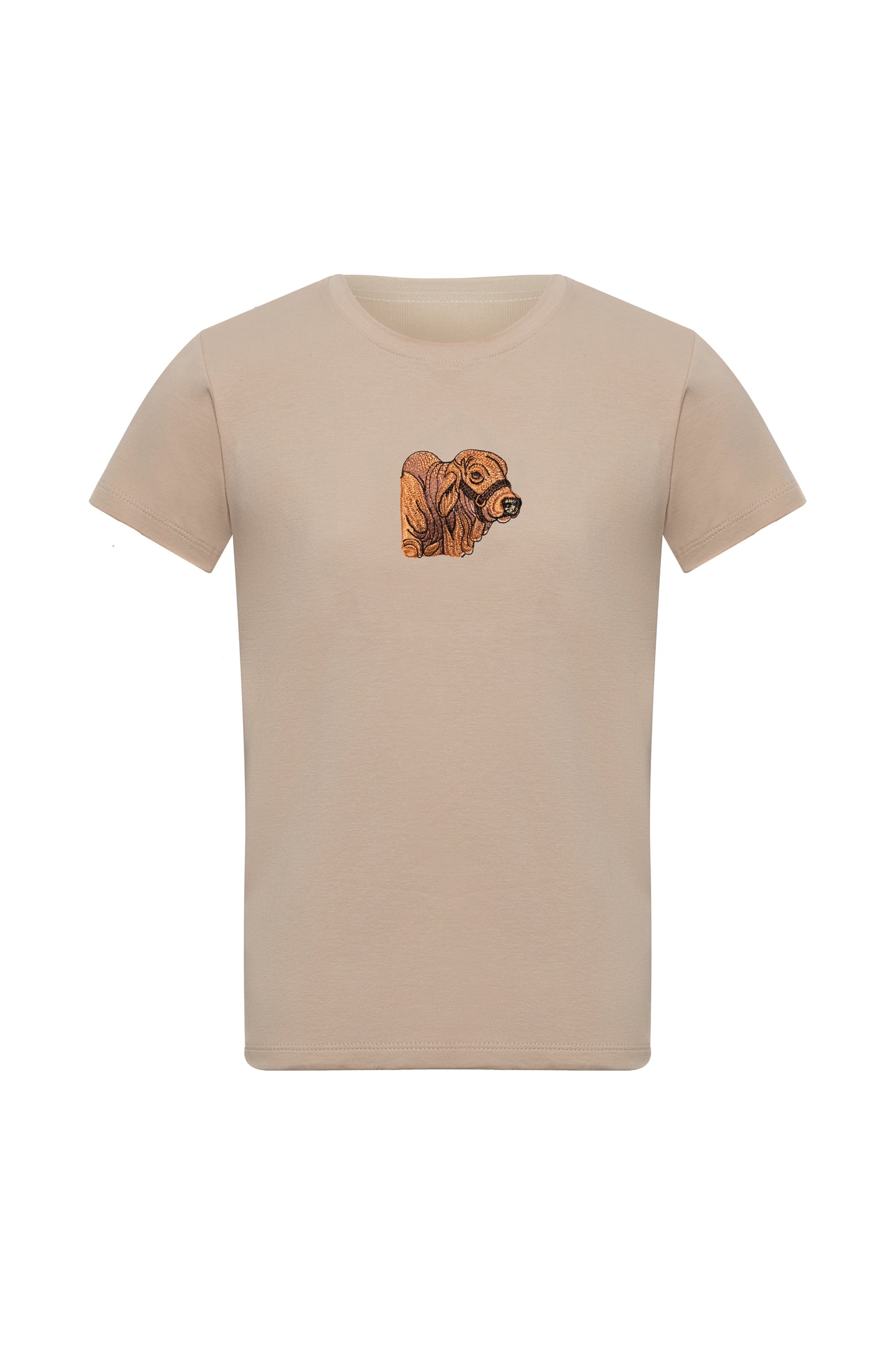 CAMISETA SLIM FIT BRAHMAN