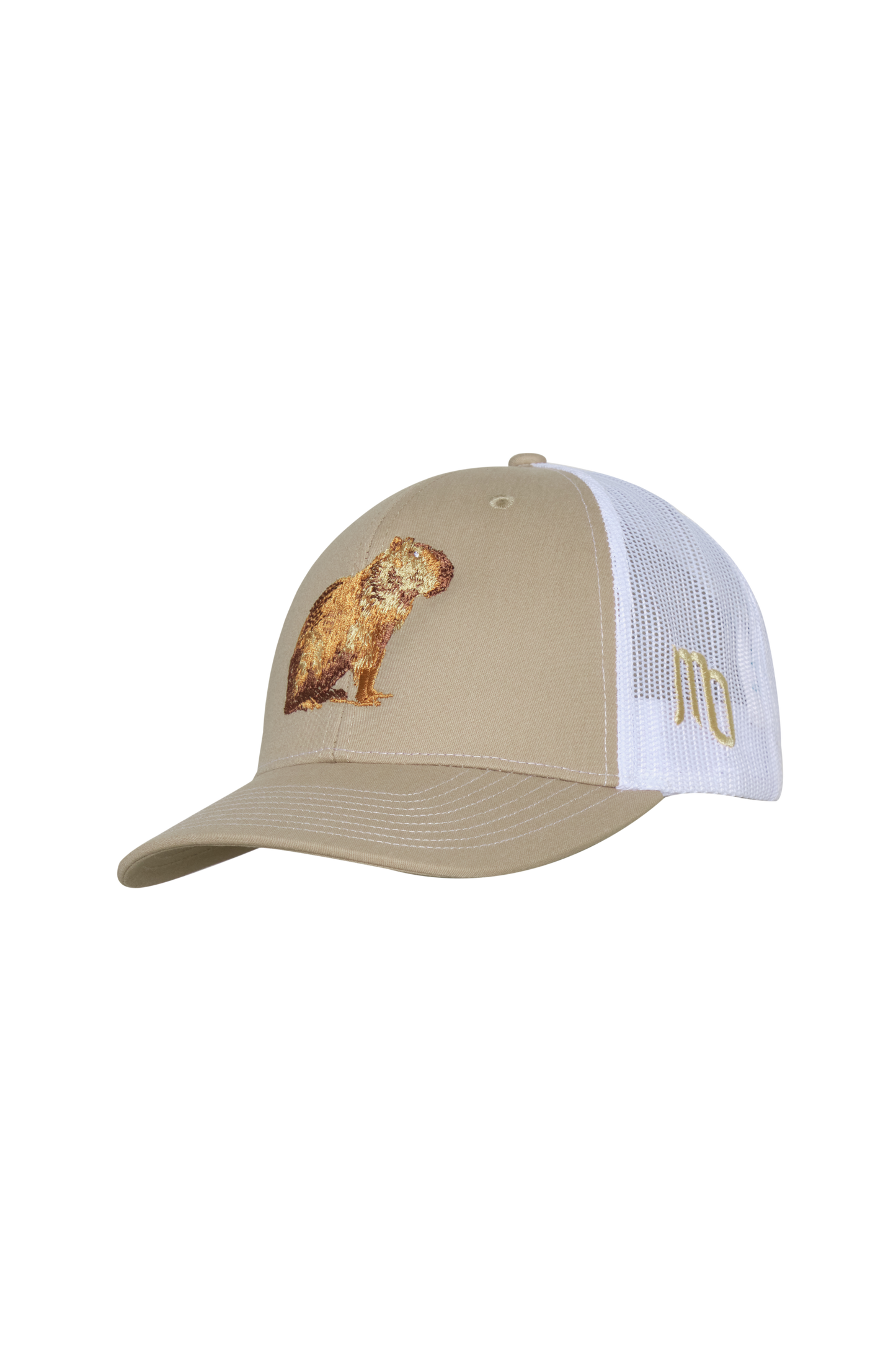 GORRA ARENA CHIGÜIRO