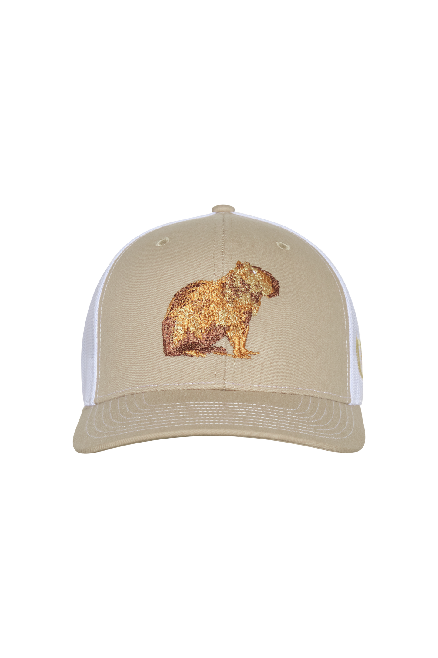 GORRA ARENA CHIGÜIRO