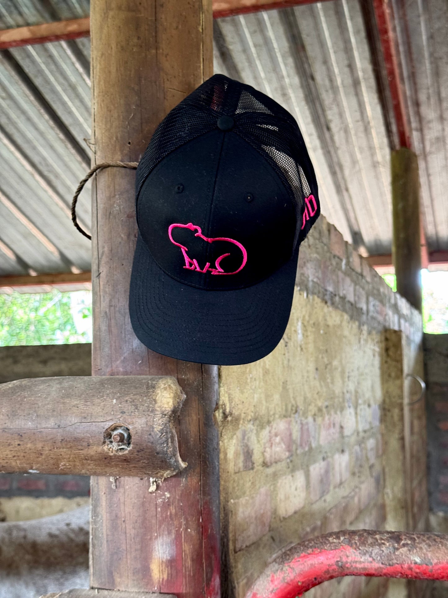 GORRA NEGRA CHIGÜIRO FUCSIA