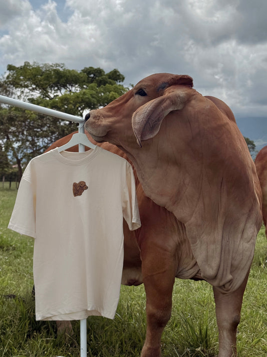 CAMISETA ARENA BRAHMAN